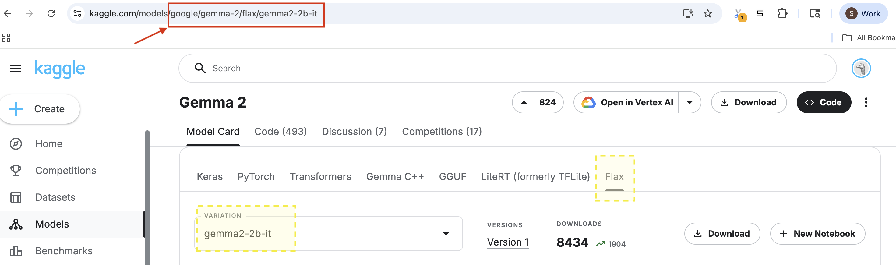 Kaggle extracting Model ID